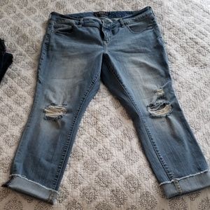 Torrid Boyfriend Destructed Jeans